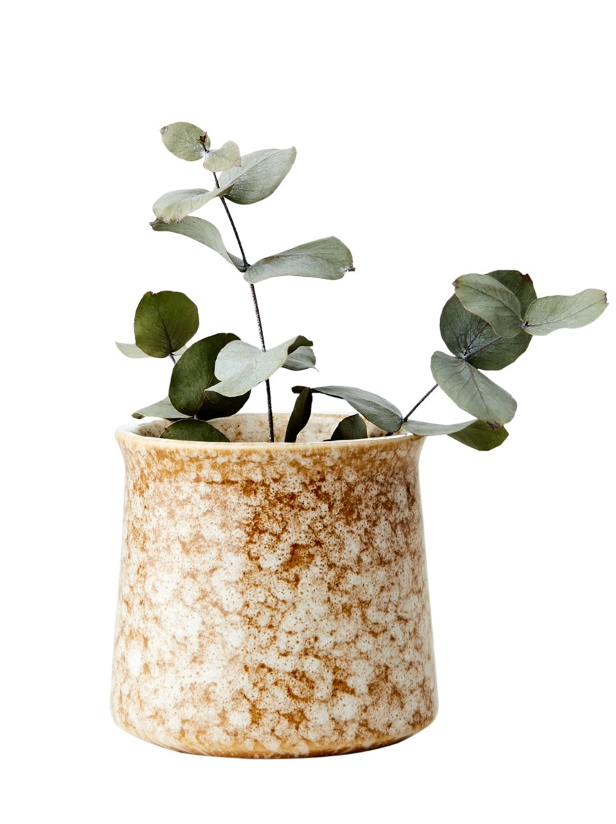 LAVA Kruka, Senapsgul Affari of sweden