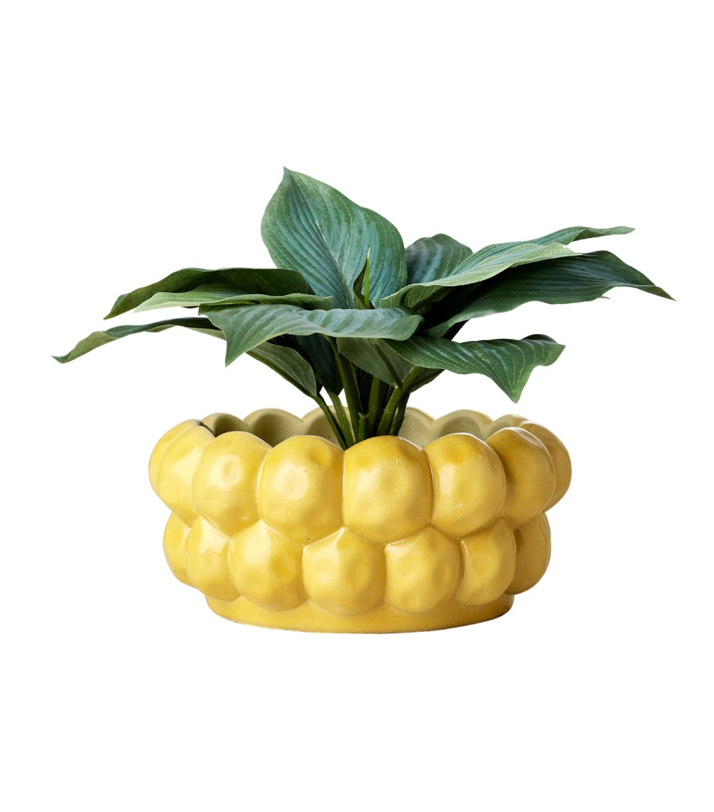 ADA Kruka, Gul Affari of sweden